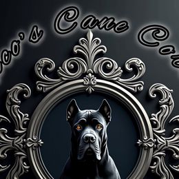 Cane Corso from Jonathan Rico