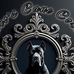 Cane Corso from Jonathan Rico