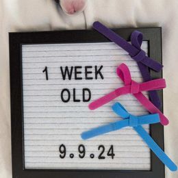 Cardigan Welsh Corgi Puppies from Smoky Tails Corgis