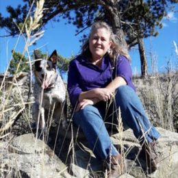 Australian Cattle Dog and French Bulldog Puppies from Sugarloaf French bulldogs and Australian cattle dogs