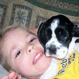 Cocker Spaniel Puppies from Richards' Cocker Kennel
