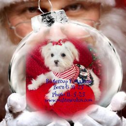 Buttercup F - White female Maltese puppy in Silverhill, Alabama from Malteseuluv’s Tiny Treasurers