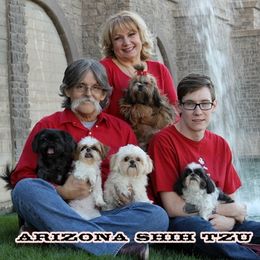 Shih Tzus from Arizona Shih Tzu