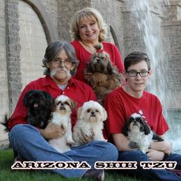 Shih Tzus from Arizona Shih Tzu