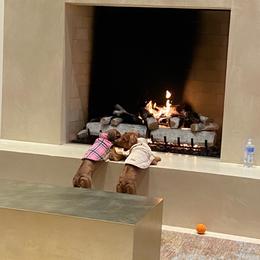 Rhodesian Ridgeback Puppies from River Roc Ranch & Ridgebacks