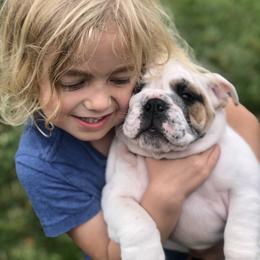 Bulldog Puppies from Farm Strong Bulldogs