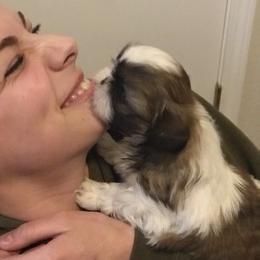 Shih Tzu Puppies from Willow Lane Shih Tzus