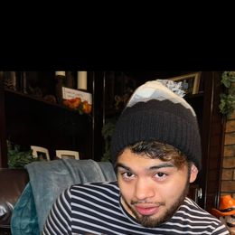 Brussels Griffon All Grown Up from Lavish Griffons