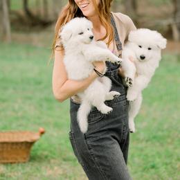 Berger Blanc Suisse Puppies from Edelweiss Berger Blanc Suisse