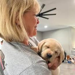 Labrador Retriever Puppies from Krys Ruth
