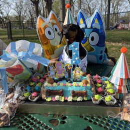 Dachshund Puppies from Foster’s Dachshunds