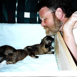 Shih Tzu Puppies from Shih Tzu Dreams Come True