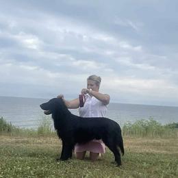 Goose - Flat-Coated Retriever