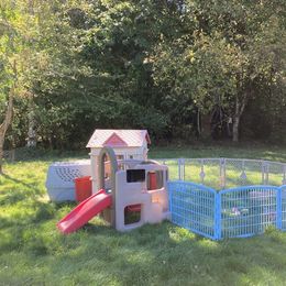 Aussiedoodle and Poodle Puppies from Aussiedoodles by Maggie