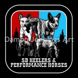 Australian Cattle Dog Puppies from SB Heelers Cattle Dogs and Performance Horses