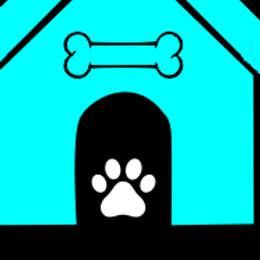 French Bulldogs from Ozark Puppy Pals