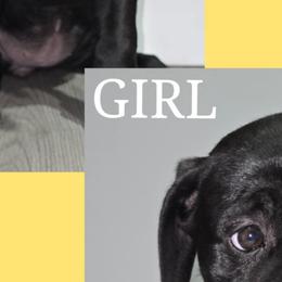 Cane Corso from Angel Ballard