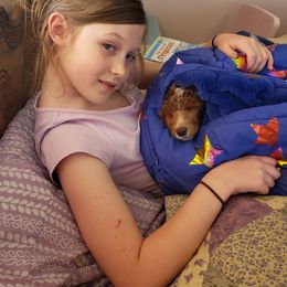 Aussiedoodle, Bernedoodle, and Poodle Puppies from Color Country Doodles