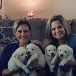 Golden Retriever Puppies from Golden Dust Retrievers