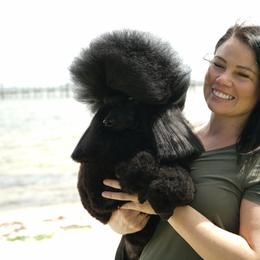 Poodle All Grown Up from Madness Kennels