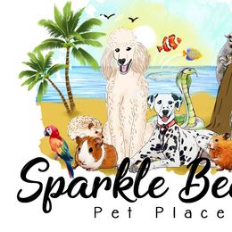 Poodles from Sparkle Beach Pet Place