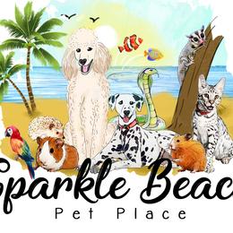 Poodles from Sparkle Beach Pet Place