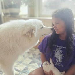 Dasha - Samoyed