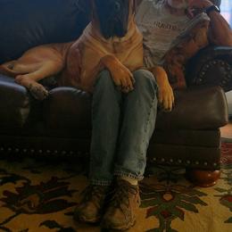 Mastiff All Grown Up from Cedarhills