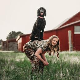 Luna - Goldendoodle