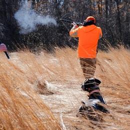 German Shorthaired Pointers from Pointing River Gun Dogs