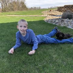 Boykin Spaniel Puppies from Bayhill Boykins