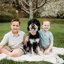 Clark - Bernedoodle