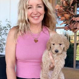 Bell - Brown female Bernedoodle puppy in Yuba City, California from Ranch House Doodles