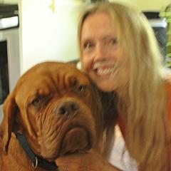 Boy 5 - Red male Dogue de Bordeaux puppy in Andover, Connecticut from HOT DIGGITY DDB