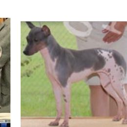 Riker - American Hairless Terrier