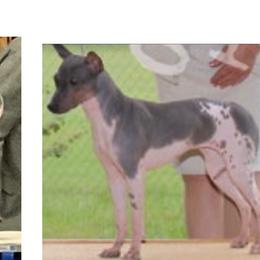 Riker - American Hairless Terrier