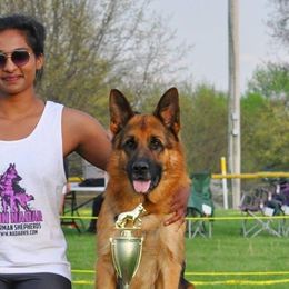 German Shepherds from von Nadar German Shepherds