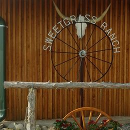 Poodles from Sweetgrass Ranch