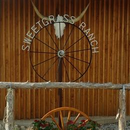 Poodles from Sweetgrass Ranch