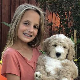 Goldendoodle and Bearded Retriever Puppies from Emma Lee Doodles