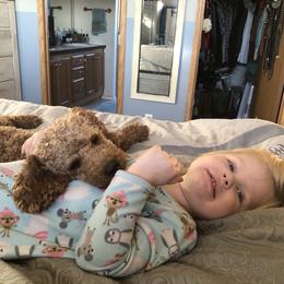 Goldendoodle All Grown Up from Blushing Doodles