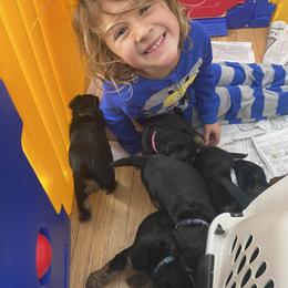 Welsh Terrier Puppies from Snow Dragon Welsh Terriers