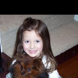 Pomeranian Puppies from Highlander Pomeranians