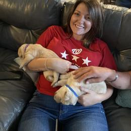 Labrador Retriever Puppies from Krys Ruth
