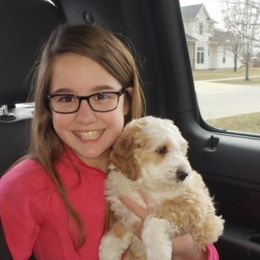 Cockapoo Puppies from Maple’s Cockapoo Puppies