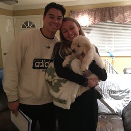 Golden Retriever Puppies from Brody's Golden Retriever Puppies