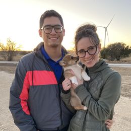 Pembroke Welsh Corgi Puppies from Loves Classic Corgis