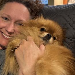 Pomeranians from Perfect Poms