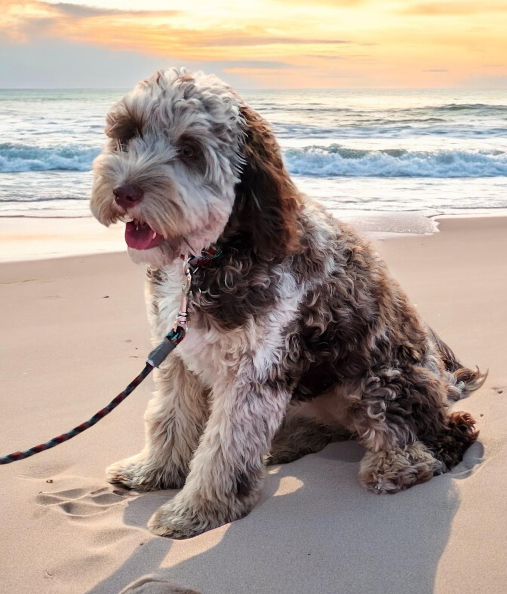 Kona