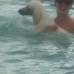 Poodle Puppies from D and D Standard Poodles